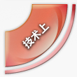专业上